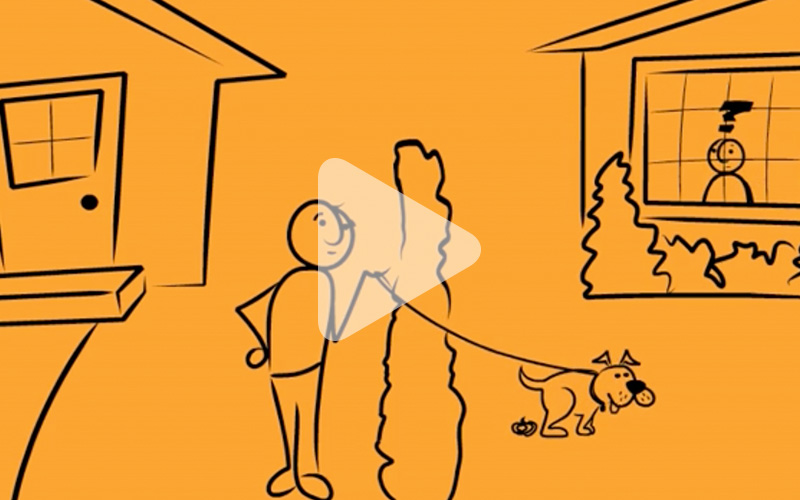 video chien