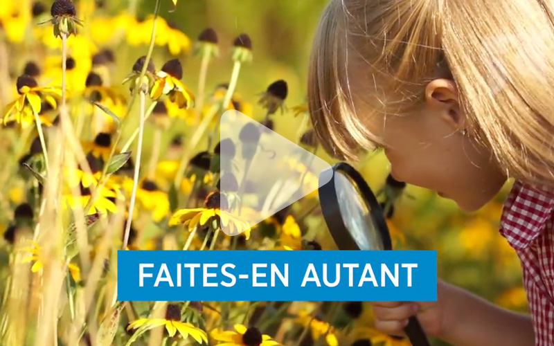 video cecce profite 02