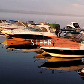 Steer.