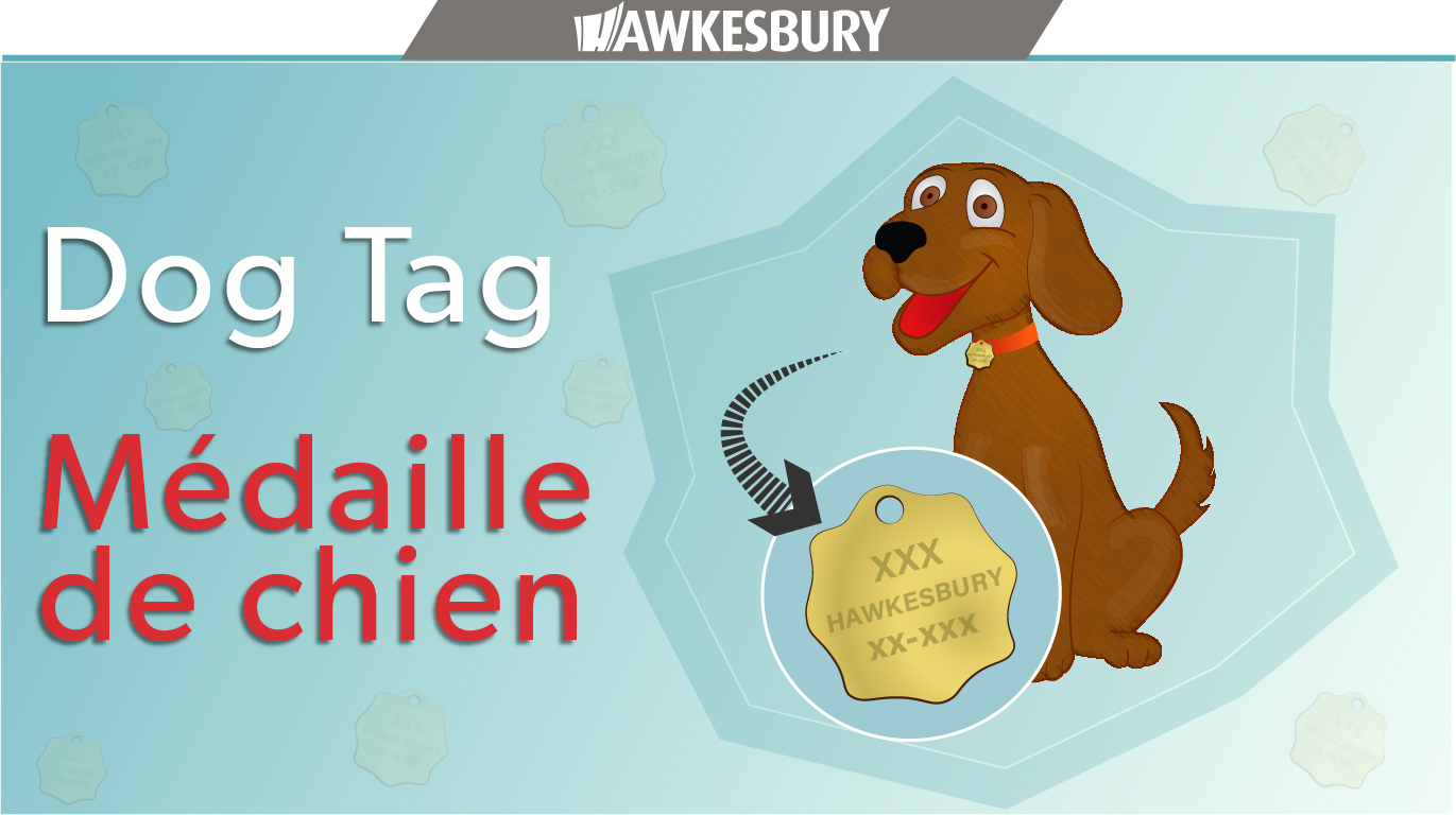 avis_tdog.jpg