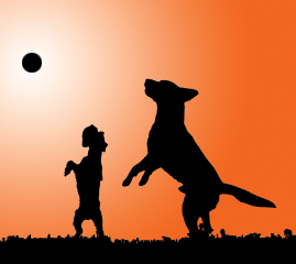 Règlements et savoir vivre au parc à chiens