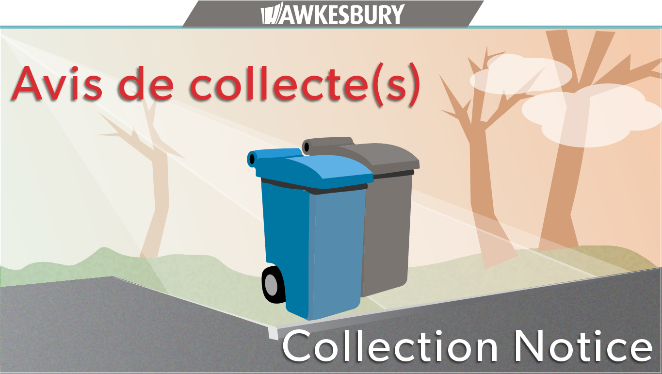 avis collection