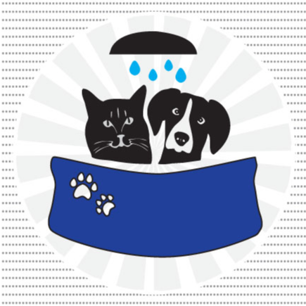 M M Pet Grooming